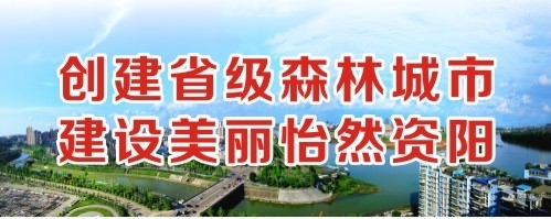 插喷视频创建省级森林城市 建设美丽怡然资阳